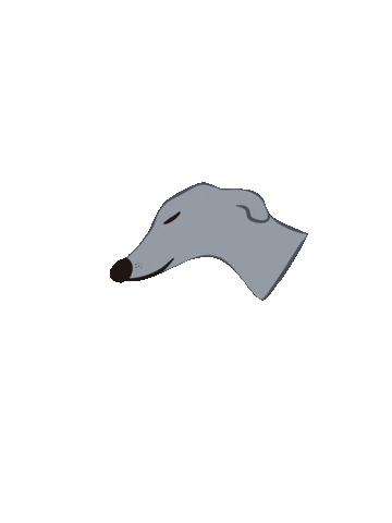Millieandmoons_studio giphyupload dog whippet millieandmoonsstudio Sticker