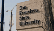 The Office Csu GIF by San Francisco State University