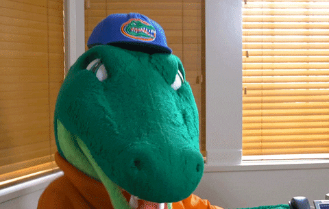 mascot alligator GIF by University of Florida