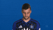 Look Up Hamburger Sv GIF by Bundesliga