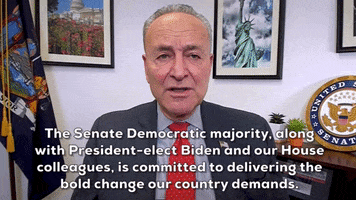 Chuck Schumer GIF by GIPHY News
