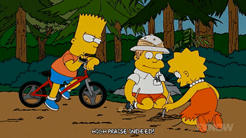 the simpsons GIF