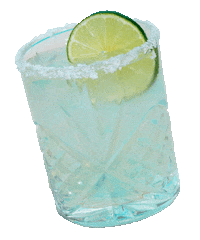 Drink Fiesta Sticker by Party Can