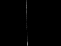 barrrrbarra art netart rotoscopy rotoscopia GIF