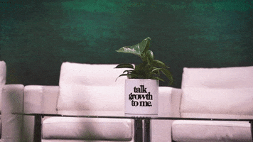 Flowers Grow GIF by Plant Economy