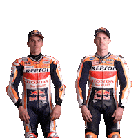 High Five Honda Sticker by MotoGP