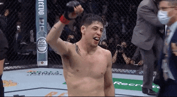Sport Mma GIF by UFC