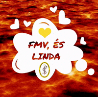 aefmvul vet veterinaria veterinary veterinario GIF