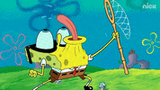 GIF by SpongeBob SquarePants