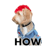 Breckindoodle Sticker by Pimp Yo Pets