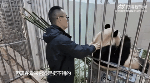 ehdgus1211 giphyupload GIF