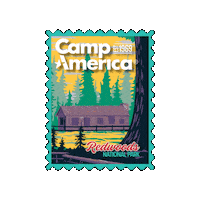 Redwoods Sticker by Camp America