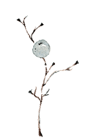 Art Illustration Sticker