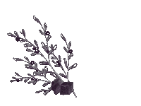 Plant Baking Sticker