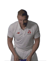 celebration cricket Sticker by NatWest