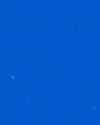 riverhawknation ncaa river hawks america east uml GIF