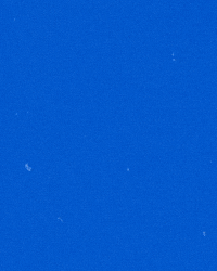 riverhawknation ncaa river hawks america east uml GIF