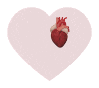 MutualMedica heart i love you corazon doctor Sticker