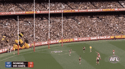 aussie rules finals GIF by AFL