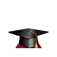 Graduation Cap Sticker by Lewis University
