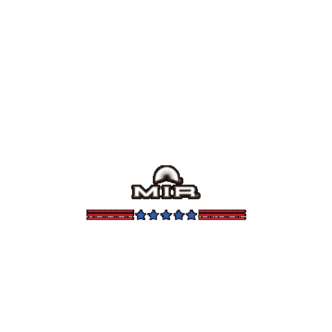 Usa Traveler Sticker by MIR Corporation