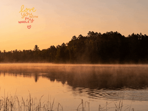 Germany Wow GIF by FranchiseCHECK.de