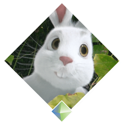 bunny rabbit Sticker