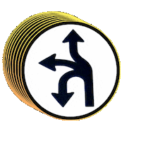 Swissvaleyinz Sticker by Group Against Smog and Pollution