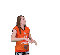 Volley Sticker by NUCVolleyball