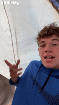 Deer Joins Campers In Tent GIF by ViralHog