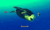 finding nemo turtle GIF