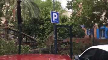 Storm Uproots Trees and Damages Property in Seville