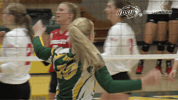 north dakota state bison GIF by NDSU Athletics