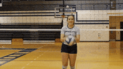 Volleyball Virginiabeach GIF by VWU Marlins