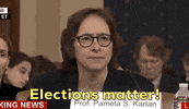 news impeachment impeachment inquiry pamela karlan GIF