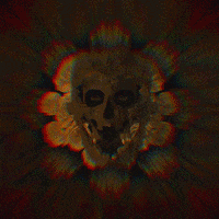 mazerschi skull GIF