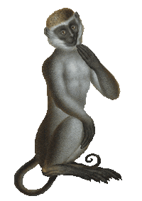 Heart Kiss Sticker by Austrian National Library