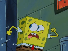 season 5 GIF by SpongeBob SquarePants