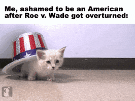 Video gif. A tiny white kitten retreats into a glittery American flag top hat. Caption, “Me, ashamed to be an American after Roe v. Wade got overturned.”

