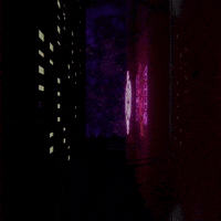 Cat Flying GIF by Wired Productions