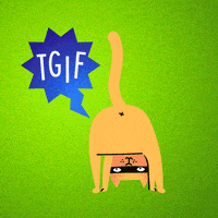 Cat Friday GIF by Kochstrasse™