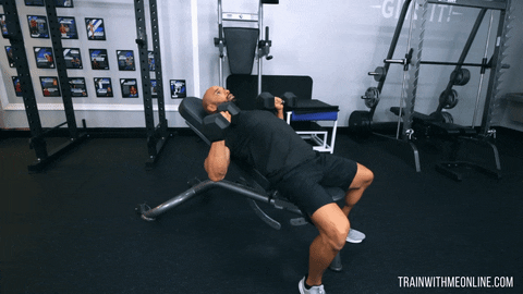 TrainWithMeOnline giphyupload chest workout incline chest press incline dumbbell press GIF