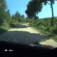 Driving On Board GIF by FIA European Rally Championship