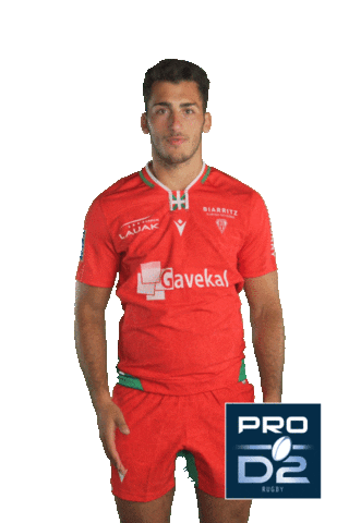 Pro D2 Bo Sticker by Ligue Nationale de Rugby