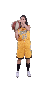 Basketball Ball Sticker by ACSL - Austrian College Sports League