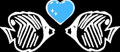 diveadventures giphygifmaker giphyattribution diving dive GIF