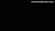 Well Done Reaction GIF by Polizei Rheinland-Pfalz