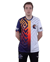 Esports Zebra Sticker by BS+COMPETITION