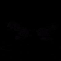 Reso Falter GIF by RSNZRFLXN