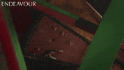 drama detectives GIF by Mammoth Screen